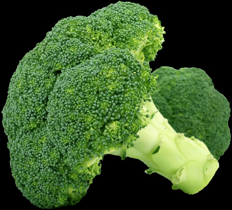 Sustainable Options